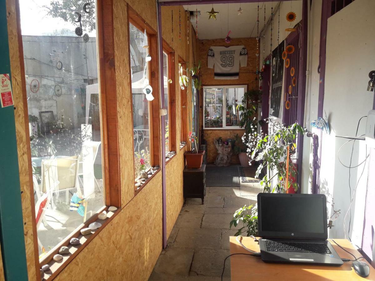 Street Garden Hostel Vina del Mar Exteriör bild